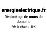 Photo 1/1 du lot