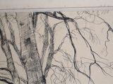 a drawing of a tree with no leaves on it