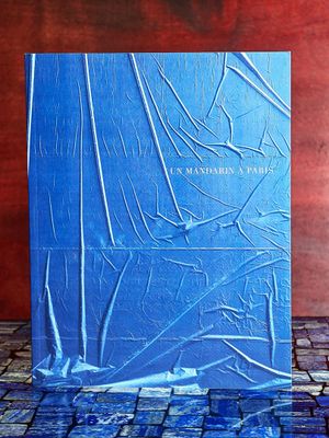 un livre bleu posé sur une table, avec un mur rouge en arrière-plan