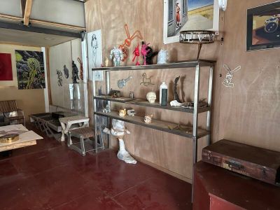 un salon avec de nombreuses étagères et des tableaux accrochés aux murs