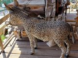 a statue of a giraffe that is standing on a porch