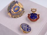 three lapel pins are on display in a display case