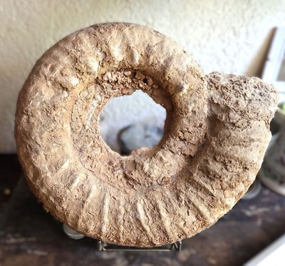 un beignet posé sur un présentoir