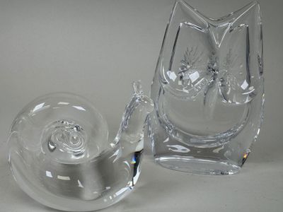 un vase en verre transparent avec un escargot à l'intérieur