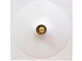 une photo d'une assiette blanche contenant un objet doré