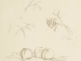 sketches of a bird, a pear, and a bird on a table