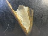 une banane pelée posée sur une table