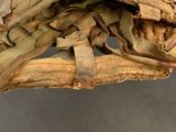 a baseball glove that has a baseball inside of it