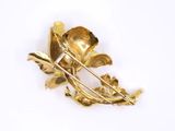 a close up of a gold brooch with leaves on it