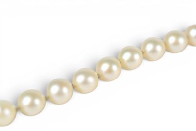 a close up of a strand of white pearls on a white background