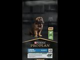 Prop Plan Chiot - Grandes races - Agneau et riz - 12 kg