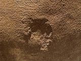 a close up of a brown vase with a paw print on it