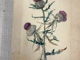 Photo 8/12 du lot