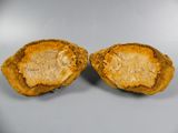 two pieces of fruit that have been cut in half