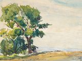 une image représentant une aquarelle d'un arbre au bord d'un plan d'eau