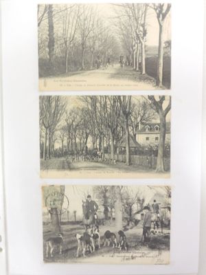 four pictures of people riding horses and dogs in the park