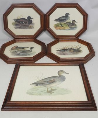 quatre reproductions encadrées représentant des canards sur fond blanc