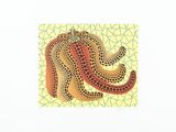 a picture of a picture of an octopus on a tile