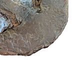 an image of a piece of rock with a piece of rock on it