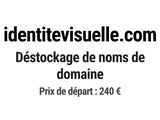 Photo 1/1 du lot