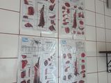 posters on the wall of a butcher ' s kitchen with meat cuts