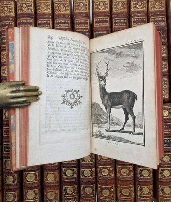 an open book with a picture of a deer on it