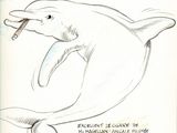 drawing of a dolphin with its mouth open and a quote written on it