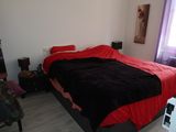 Photo 25/48 du lot