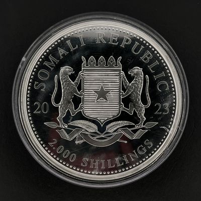une image représentant une pièce d'argent sur laquelle figure un lion