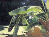 un tableau représentant un bananier au milieu d'un champ