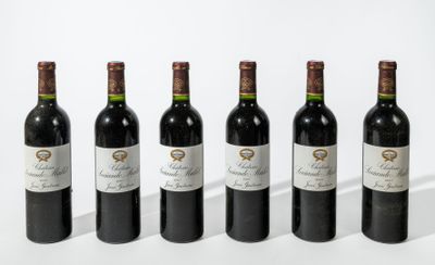 6B - CHÂTEAU SOCIANDO-MALLET (Caisse Bois d'origine) - Haut-…