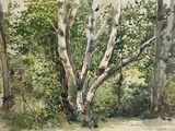 une aquarelle représentant un arbre dans les bois