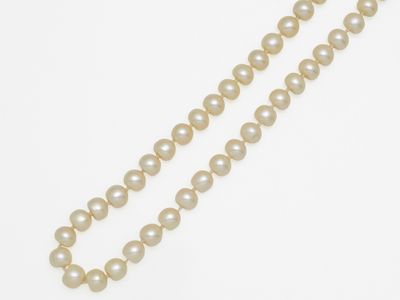 gros plan d'un collier de perles sur une surface blanche