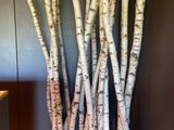 un tas de branches qui se trouvent les unes à côté des autres