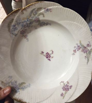 une personne tenant une assiette blanche ornée de fleurs violettes