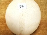 une balle blanche avec une étiquette, posée sur une table