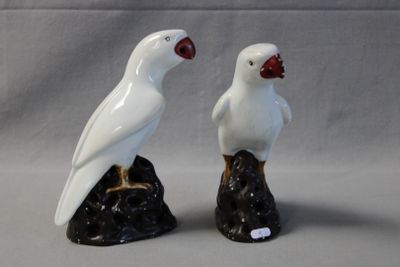 two white birds sitting on top of a rock