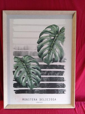 monstera delicioosa print in a wooden frame on a red cloth