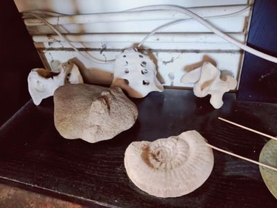 quelques pierres posées sur une table