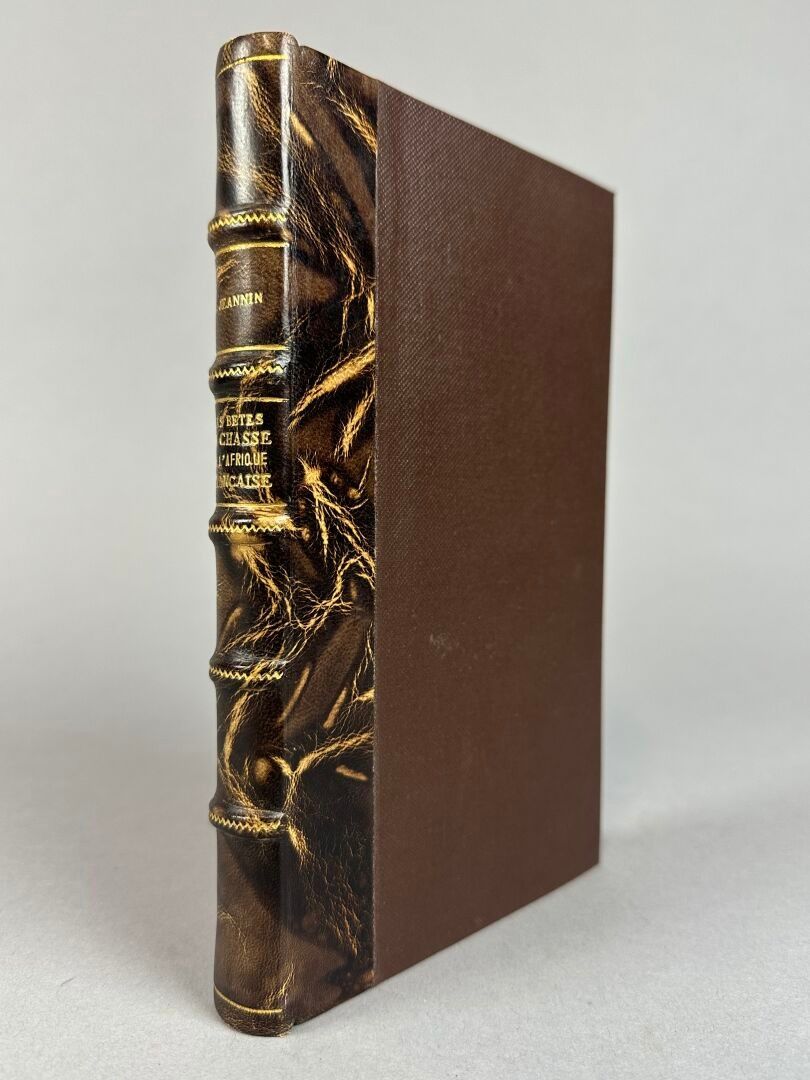 Objets d'art & Curiosités