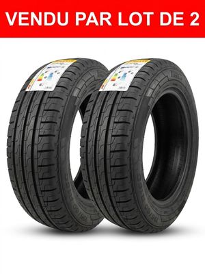 Lot de 2 pneus à vendre en France