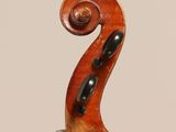 a close up of the back of a violin with a fiddle in the foreground