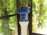 un vase bleu contenant une plante, posé sur un socle