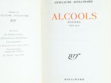 an open book with a picture of an alcools on it