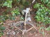 a broken toilet in the middle of the woods