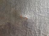 a close up of a piece of metal with a rusted surface