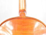 a close up of a violin with a white background