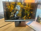a picture of an owl sitting on top of a computer monitor