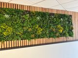 a picture of a living wall with plants growing on it