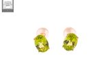 a pair of earrings with peridot stones on a white background